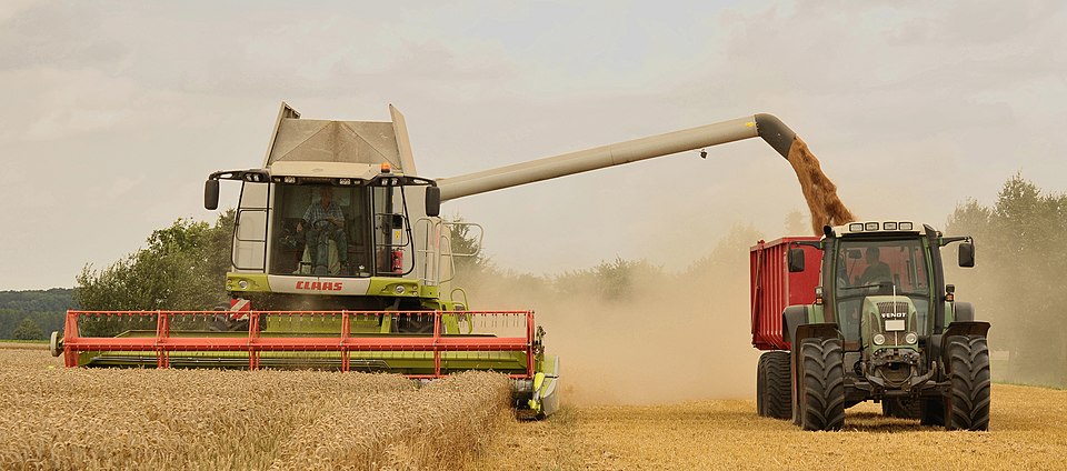 Wheat harvest